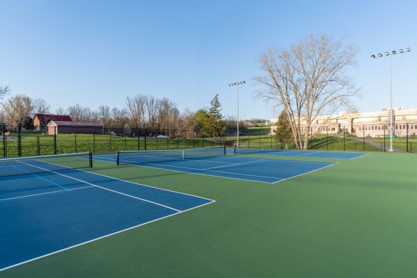 Tennis Court Cleaning in Vienna