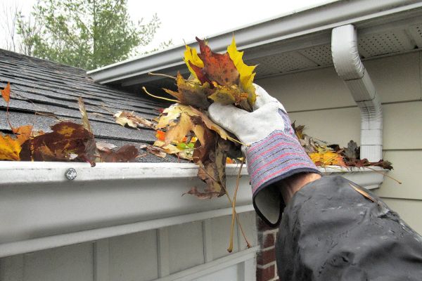 Eaves Cleaning in Vienna