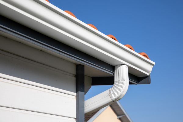 Roofline Cleaning in Vienna