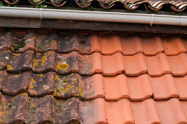 Industrial Roof Cleaning in Vienna