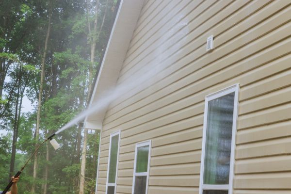 Home Siding Cleaning in Vienna