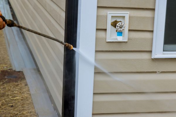 Vinyl Siding Cleaning in Vienna